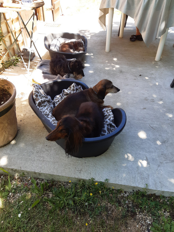 [Image: 20200707-131031.jpg]