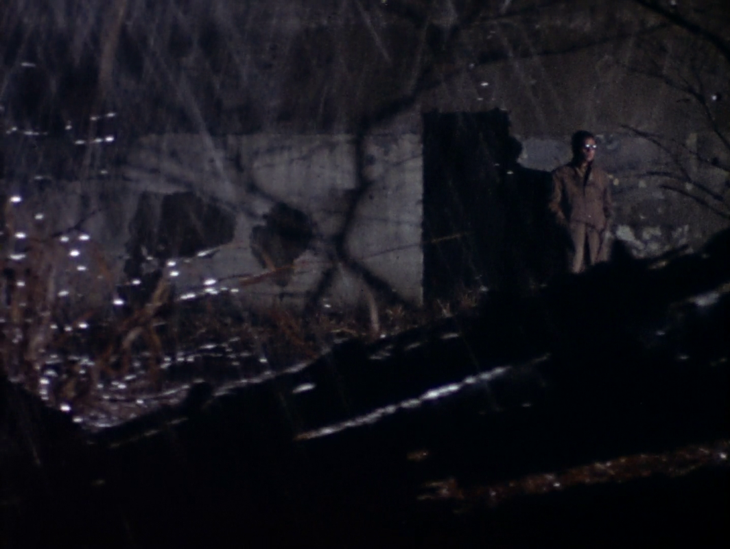 vlcsnap-2025-06-08-02h47m11s254