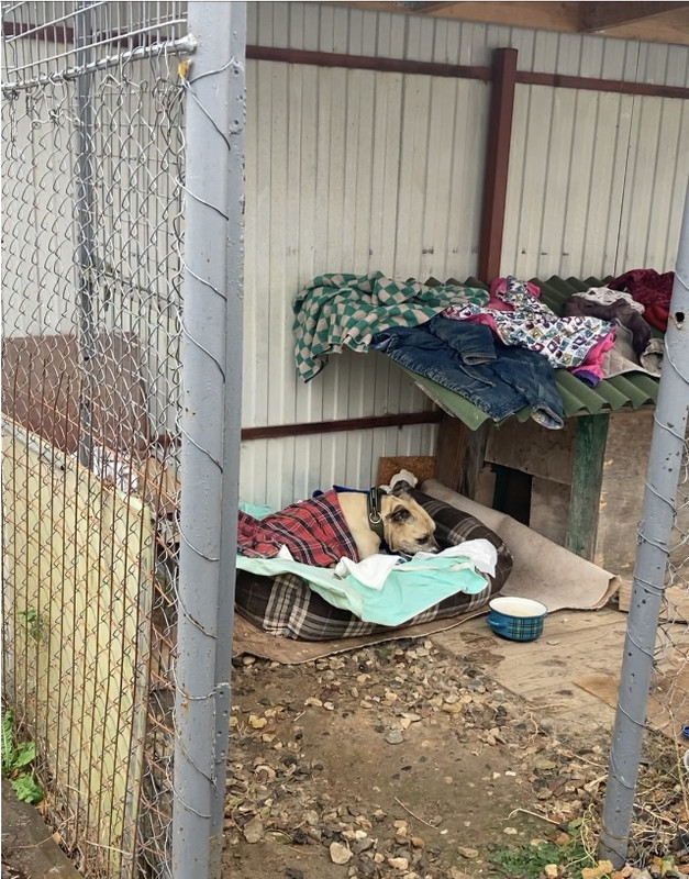 F39A3755-2E4B-4FA1-B860-5039BDD01183