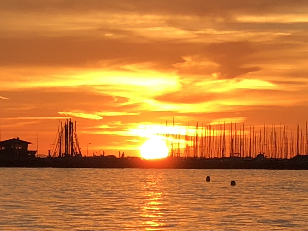 2BD69E2E-5775-4A6F-B43E-BF40695019B4