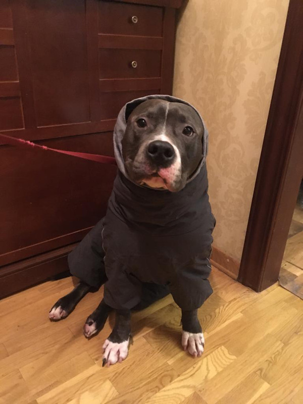 ACDBA595-FFF6-4FD4-A947-5D8331078496