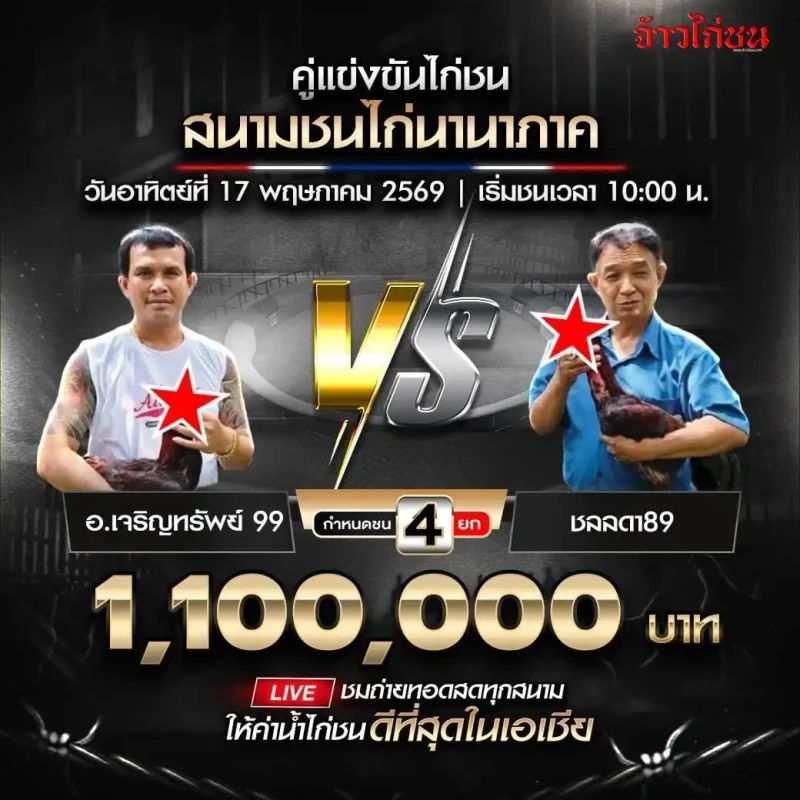 อ.เจริญทรัพย์99 พบ ชลลดา89 โปรแกรมไก่ชน สนามชนไก่นานาภาค วันที่ 17 พฤษภาคม 2569