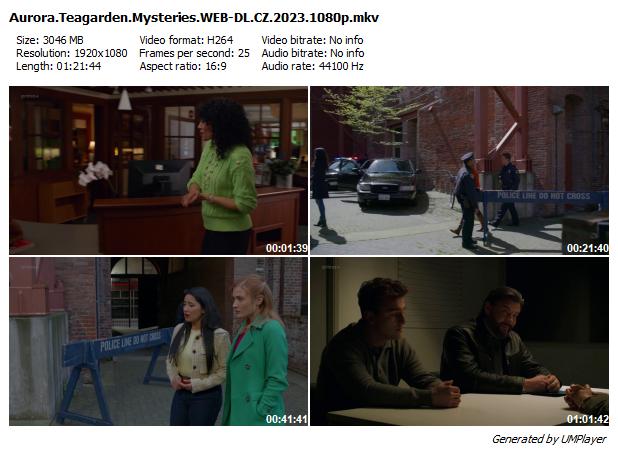 Skutečné vraždy: Ztracený snoubenec (2023)