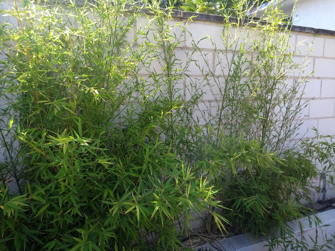 IMG_20190609_111416654 (1)