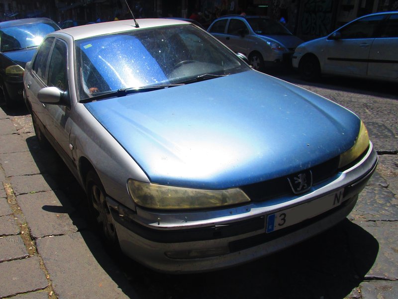 IMG-5636.jpg
