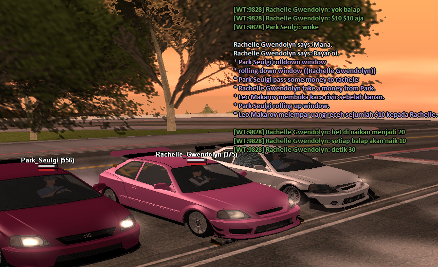 ss5.png