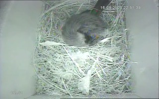 B4325007-DFD4-4C64-B5FF-2B82B09F7417