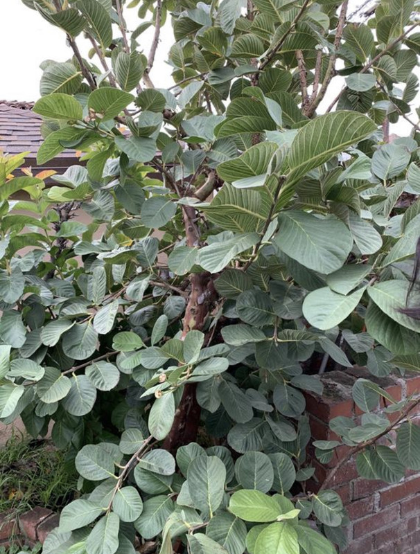 630D7540-387F-437B-ADC2-DDE9872B1EF9