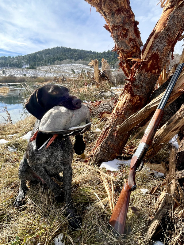 B74096FD-FEF5-4BA2-8ABB-0A0BD3612FA7