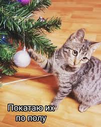 images (5)