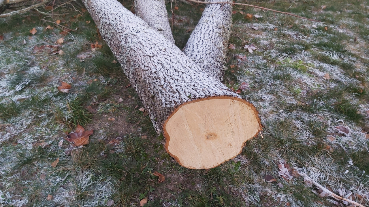 20211128_091737