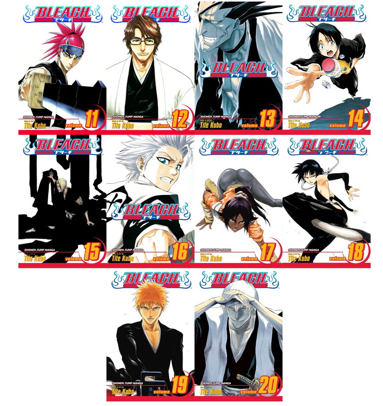 BLEACH Manga Volume 19