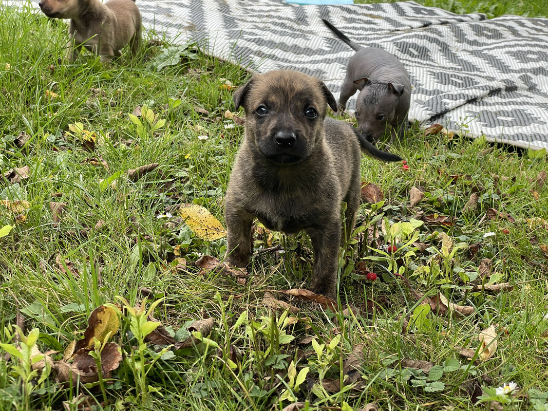 3794A3AB-DAC3-47F0-9272-A4BC07CF278E