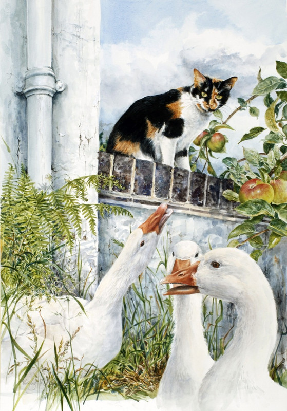 CAT-AND-GEESE-1-C27365-1