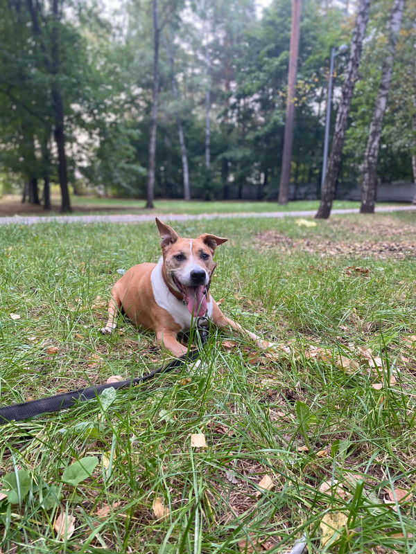 785B1630-ED65-49C7-83F4-B0B0E8C04AB4