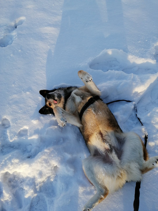 399C07D7-771E-42CF-9030-6BB597B30DFB