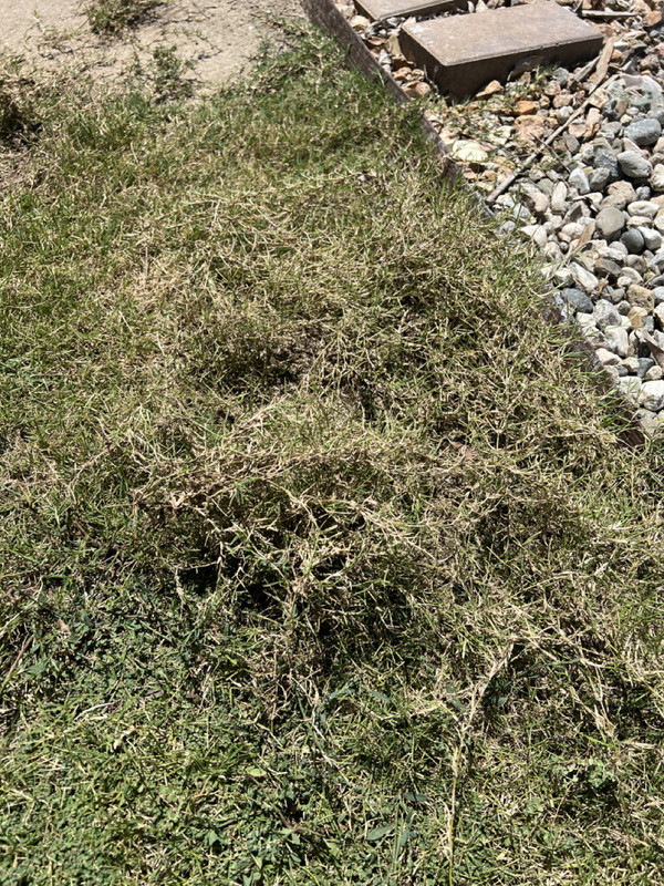 photo_2022-08-19 12.44.11