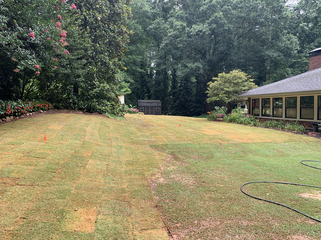 373FE2C9-C7DC-4930-9D29-FC81A2673DA5