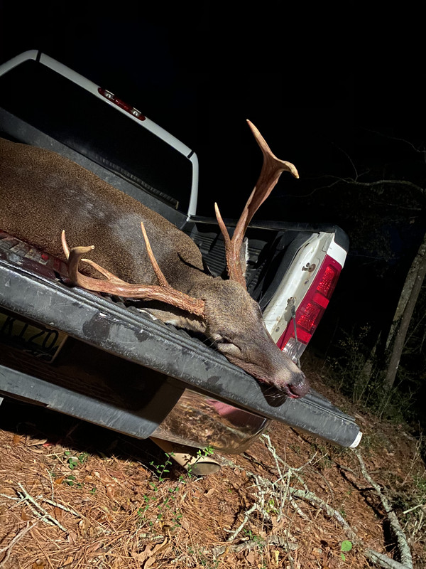 497C69B9-76B0-40A7-BF7E-83BB476B8423