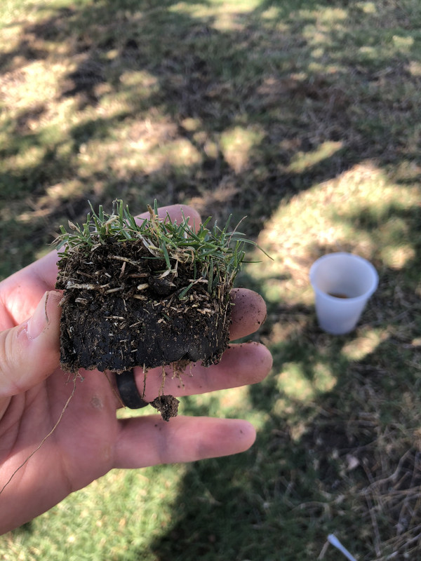 7615AAC9-205D-420E-8C72-F0679F38ACCA