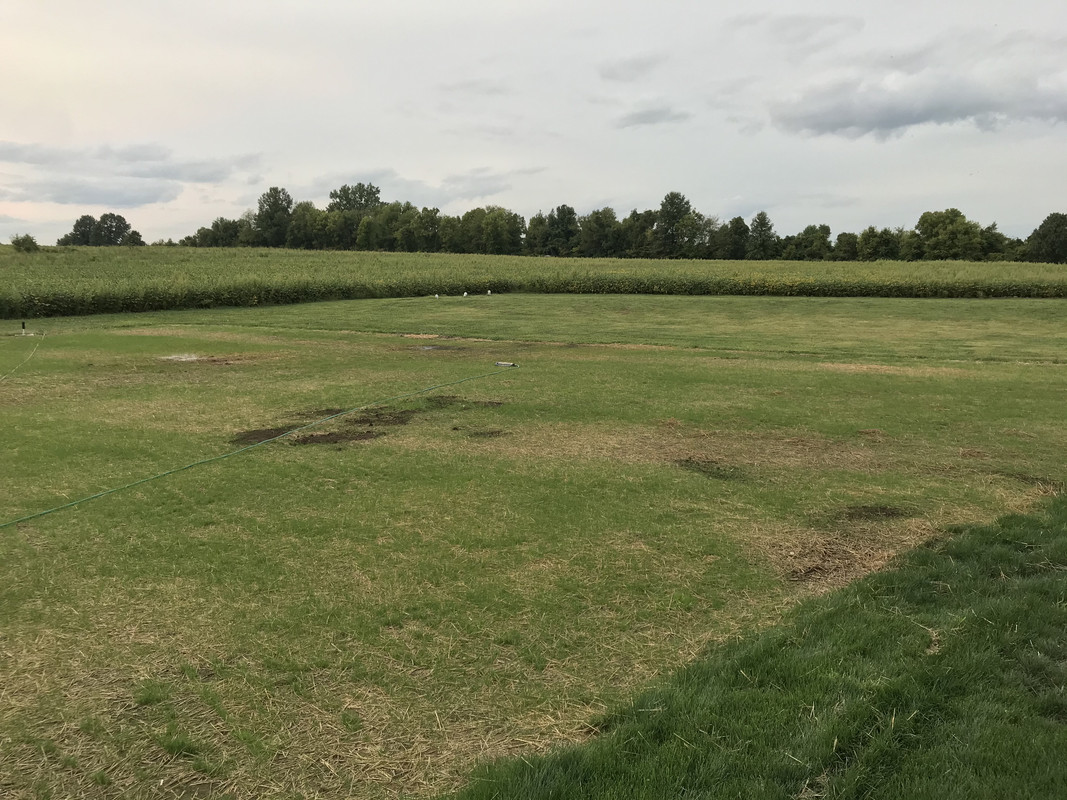 FB0BC78C-B76C-4151-8531-D7B592A1C7AA