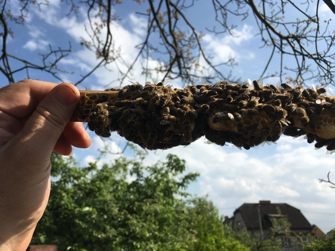 470D0A90-1A6B-47AB-9A6C-356A72A7B5A2