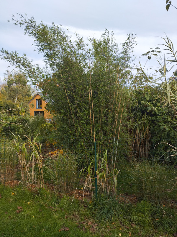 IMG 20251111 145540380