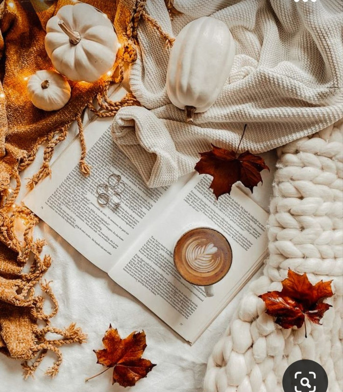 Screenshot_20231031_212714_Pinterest