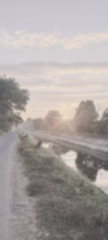 Tumblr l 1239136623820845