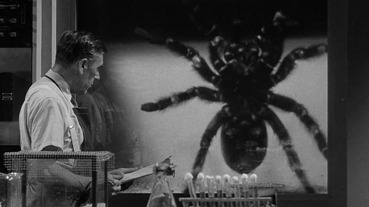 Tarantula Reference (1)