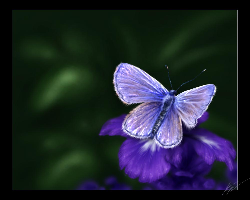 blue-by-jocarra.jpg