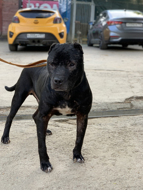 4504951A-8A80-4305-A678-23ACE47F1F0C