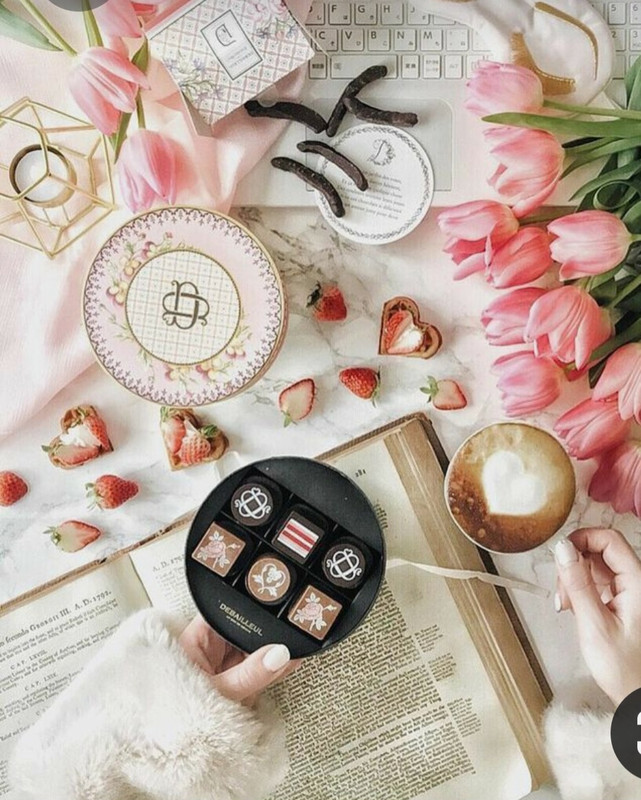 Screenshot_20230219_230628_Pinterest