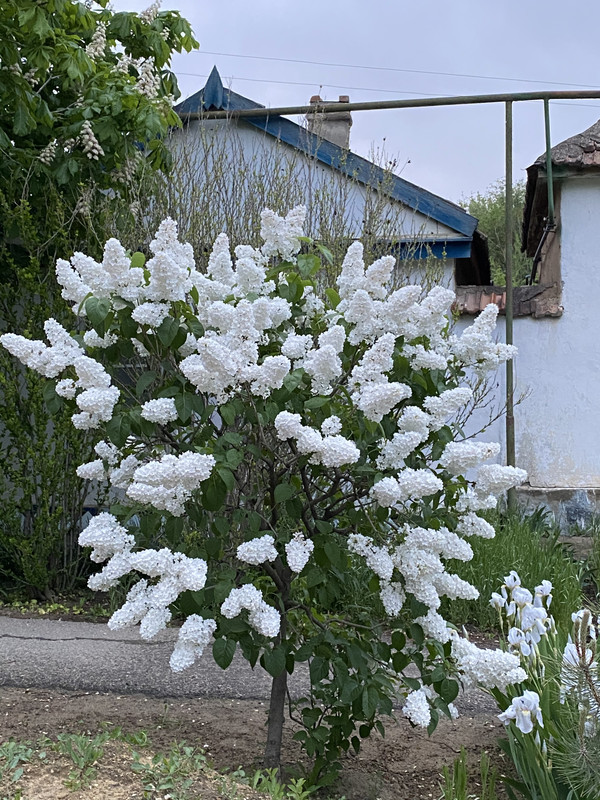 21B6E435-F8E5-4B75-B65F-4AA144EF6AB5