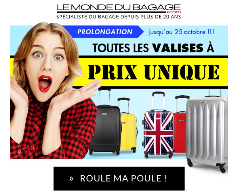 Valise