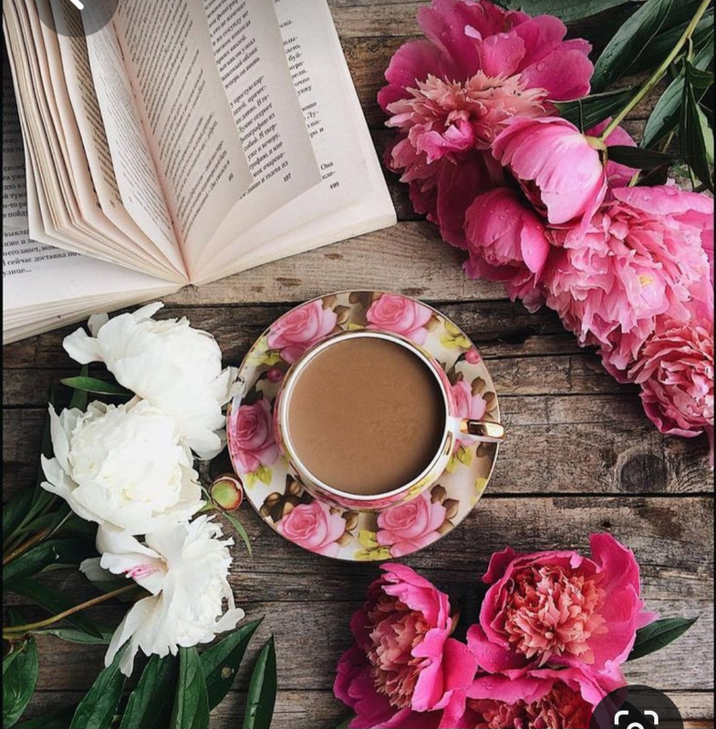 Screenshot_20230603_221857_Pinterest