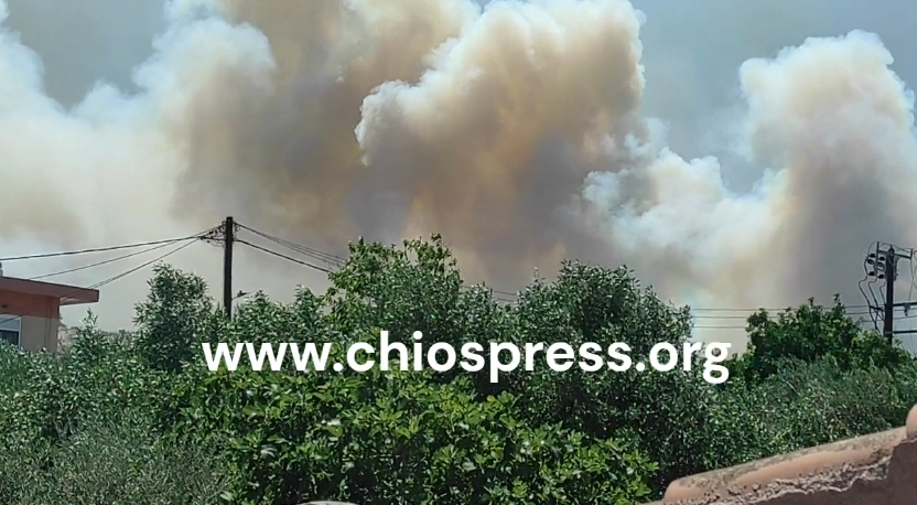 ΕΦΙΑΛΤΙΚΗ Η ΚΑΤΑΣΤΑΣΗ ΜΕ ΤΗ ΦΩΤΙΑ ΣΤΗΝ ΠΟΛΗ (ΒΙΝΤΕΟ)