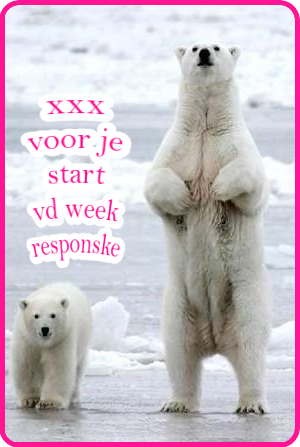 www.krabbelplaatjes.com