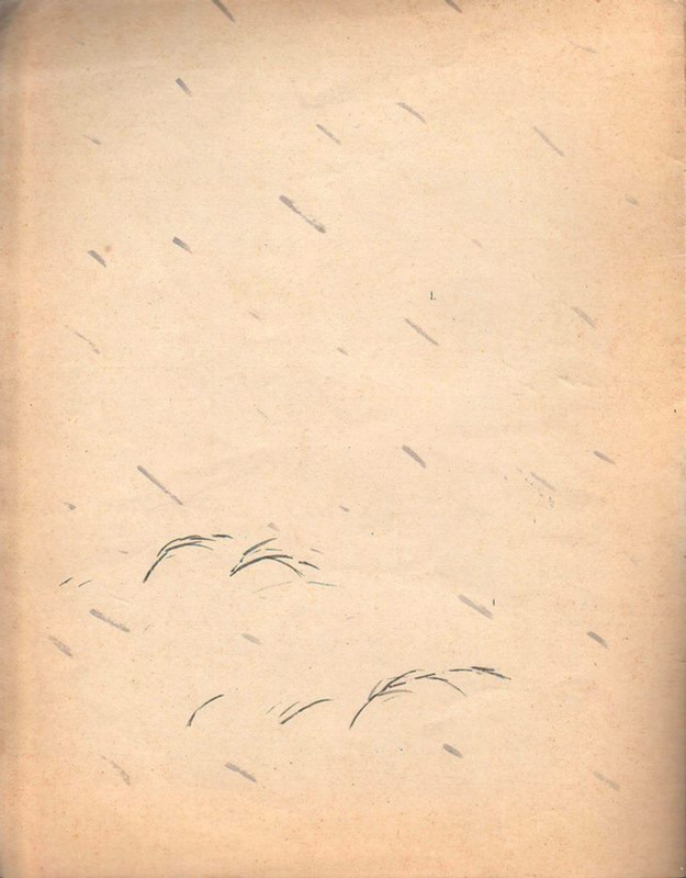 Pogorelovskij-Sergej-Snezhnaja-knizhka-page-0003