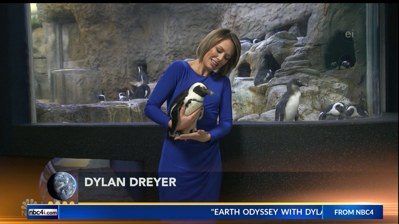 11.07 - 15.00.00 - Earth Odyssey With Dylan Dreyer. The world's smart....ts_snapshot_00.07.15.043
