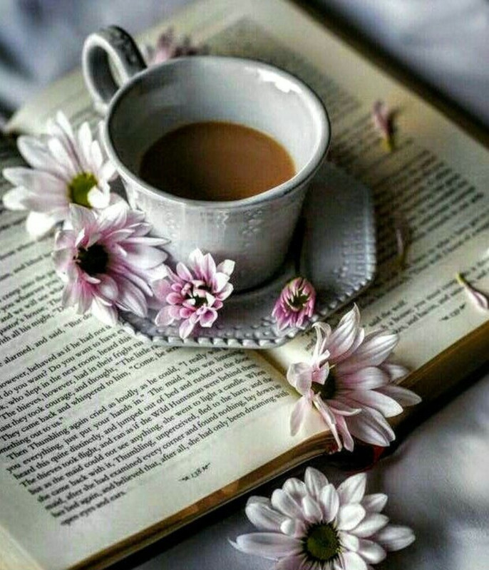 Screenshot_20240628_234124_Pinterest