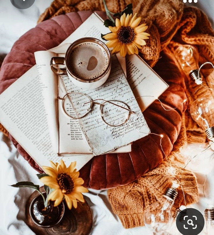 Screenshot_20231031_220034_Pinterest