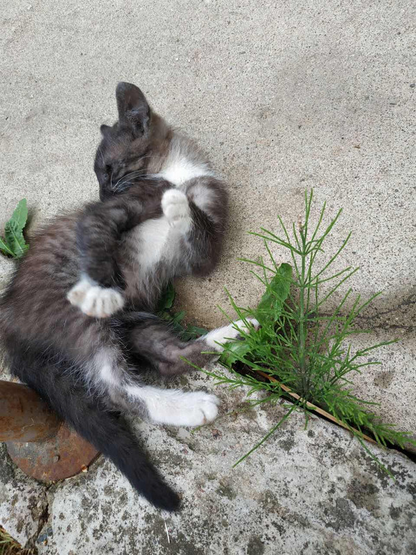 изображение_viber_2019-06-13_15-04-44в