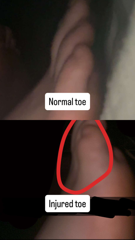 08088448 2A40 460E AEB5 C96727B3311E