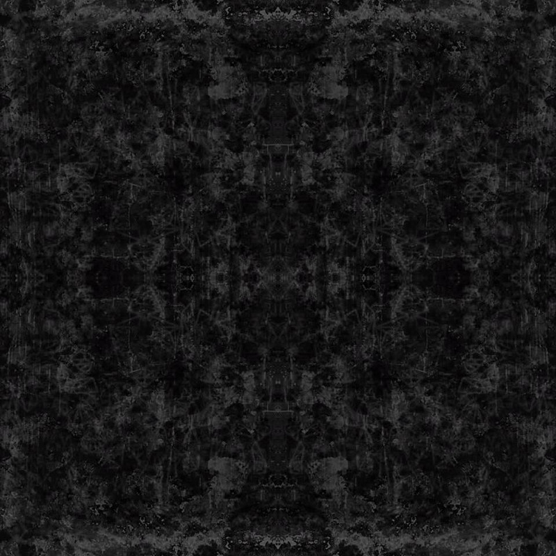 306795_397373296988961_1620360362_n