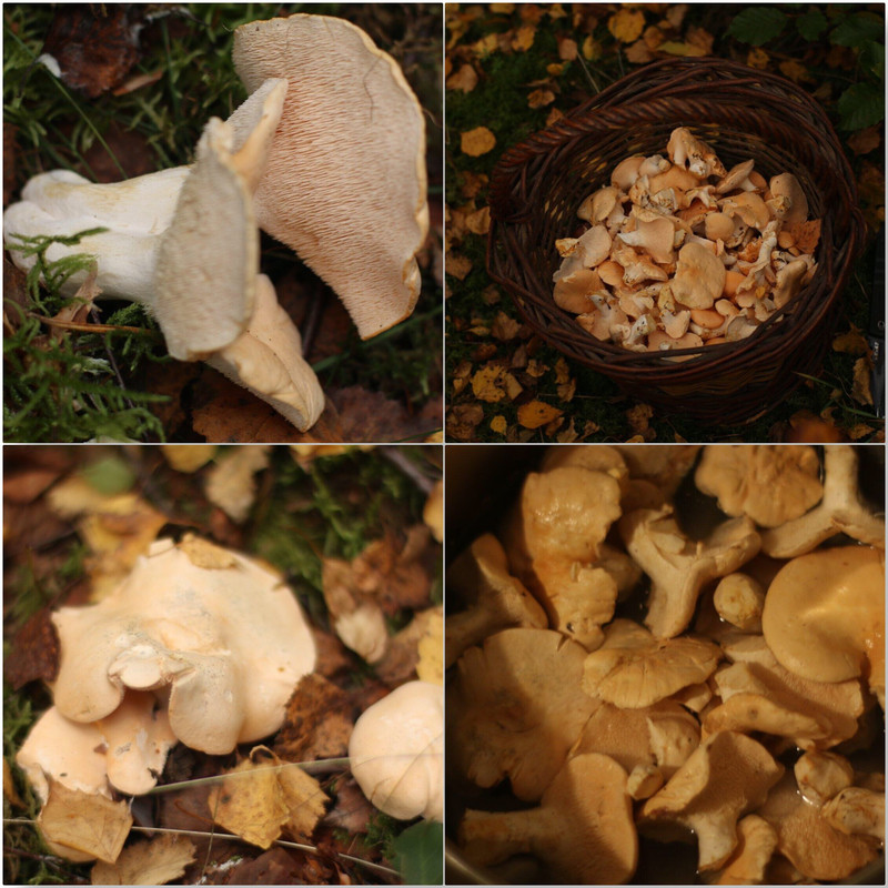 6DF5BF9B-418F-42C6-842D-2A645C302BF0