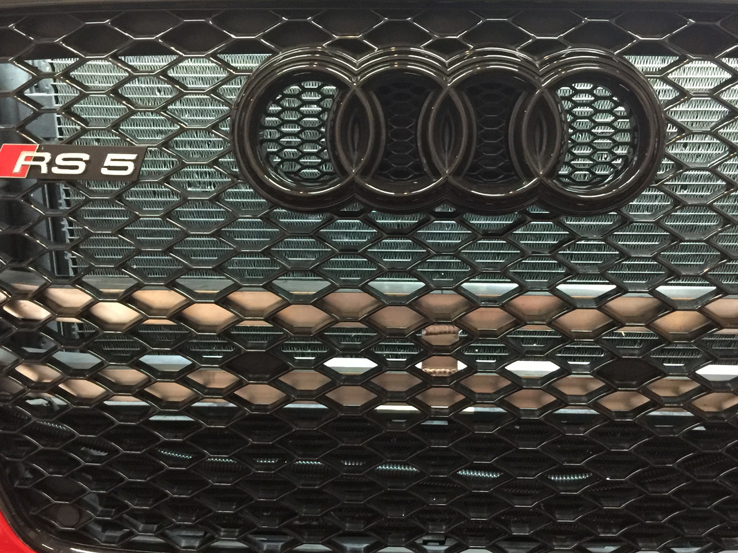 F0B233B6-29FF-44B4-86A4-4308BAC67C46