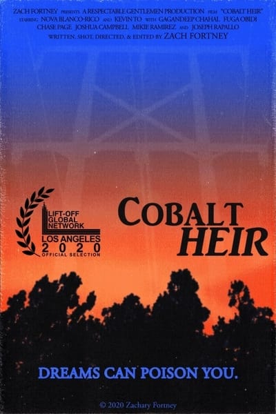 cobalt-heir-2020-1080p-amzn-web-dl-ddp2-0-h-264-worm.jpg