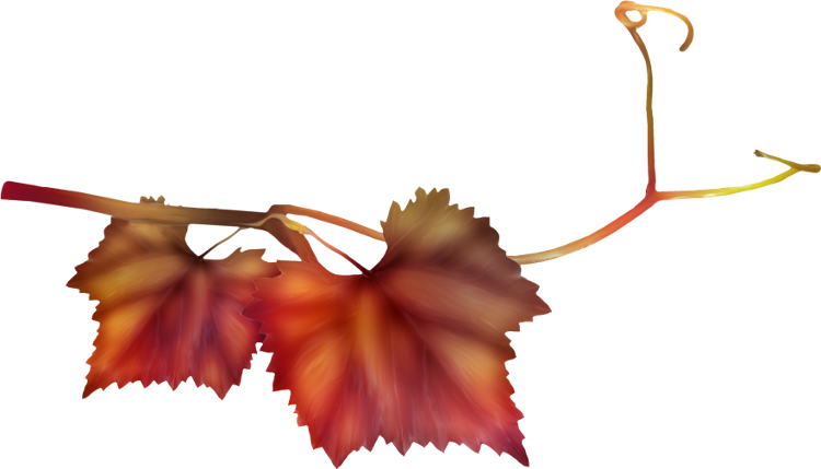 Christmas Dreams (113)