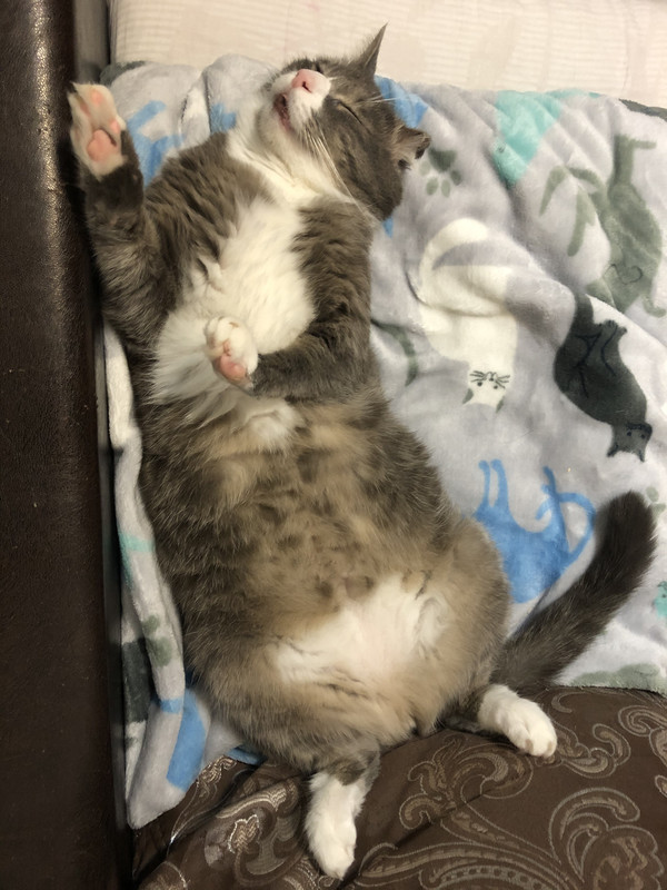 C7F181CC-A6C7-4870-B757-025B7018AE87